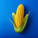 金沙9570官网汉化版游戏下载-金沙9570官网v3.25.0版下载